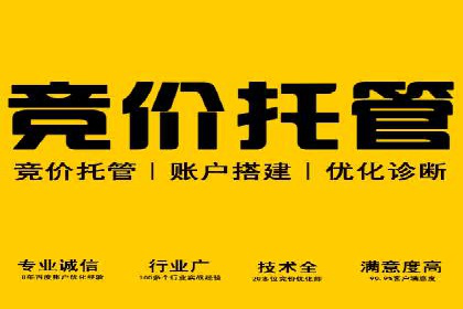 深入了解SEM代运营服务公司的技术实力